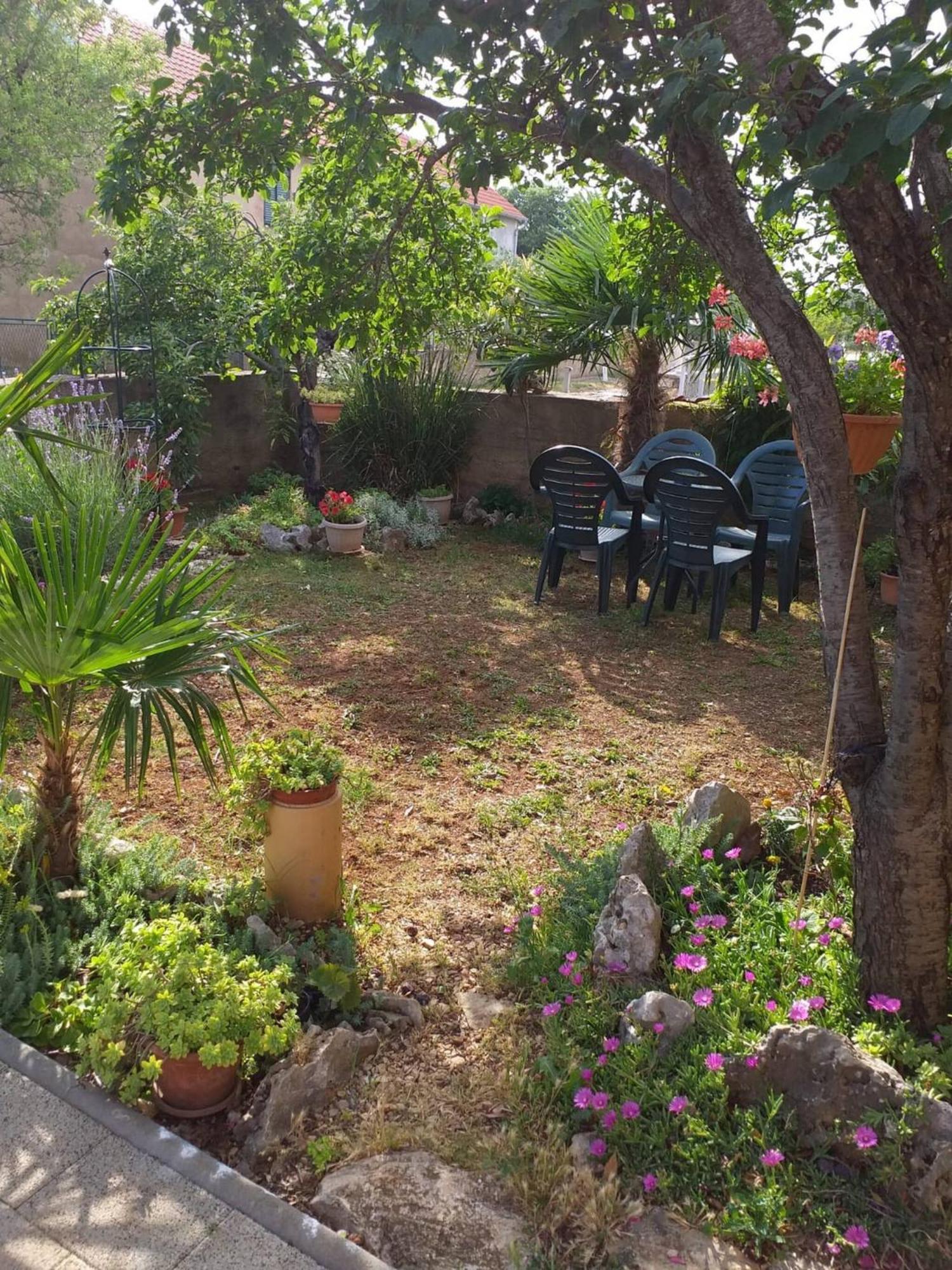 Rural Apartment Ante Drnis Ngoại thất bức ảnh